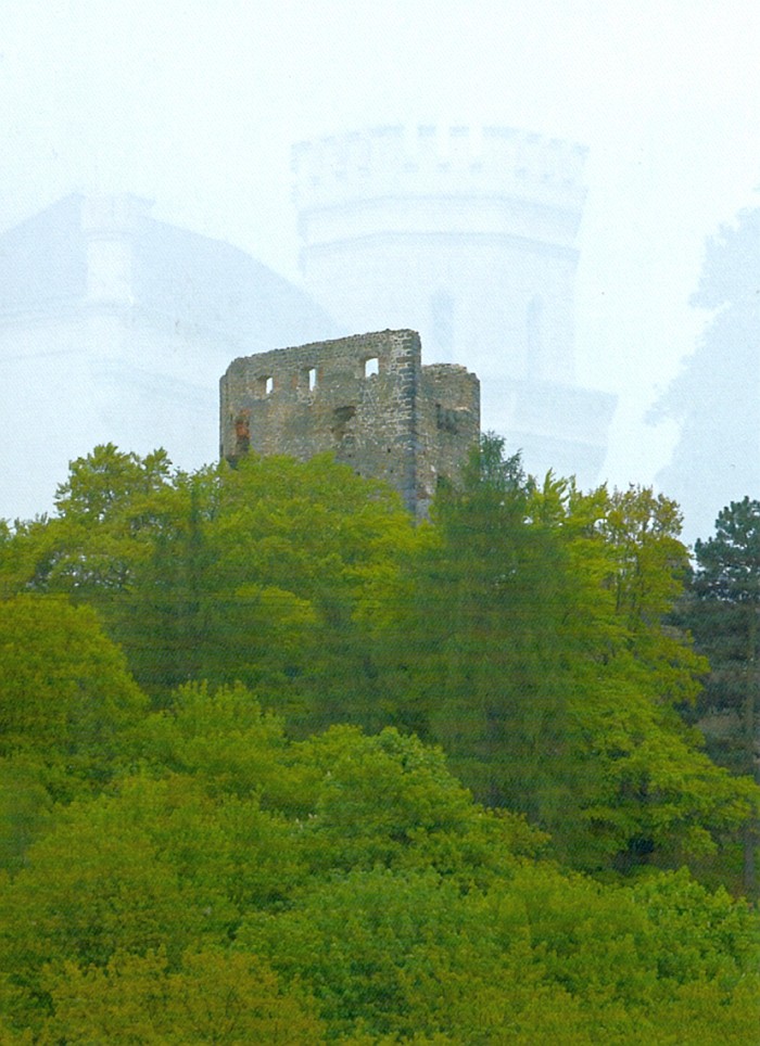 zřícenina hradu Valečov