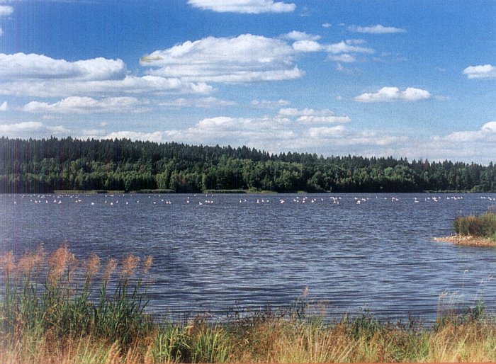 Krvavý Rybník v České Kanadě