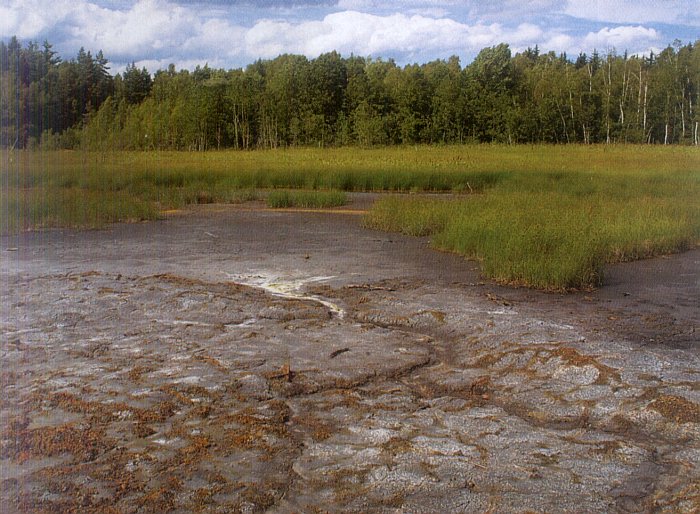Soos - rezervace bahenních sopek