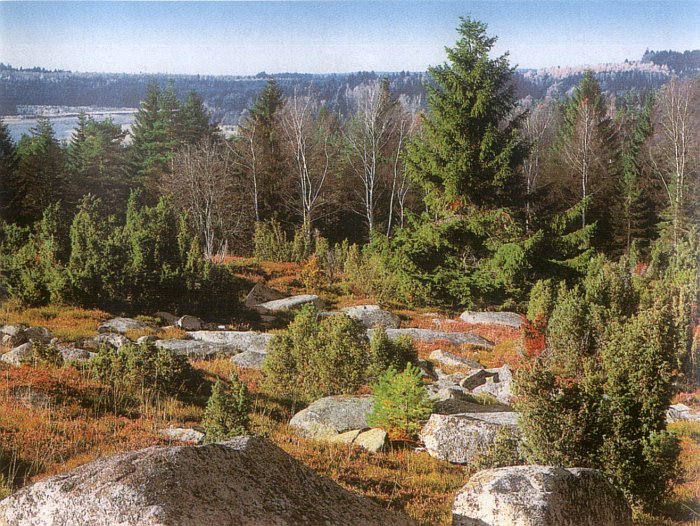 Česká Kanada - drsná příroda