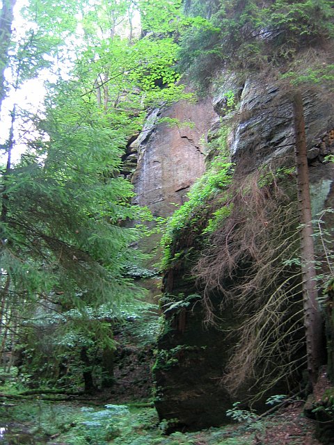 Údolí Suché Kamenice