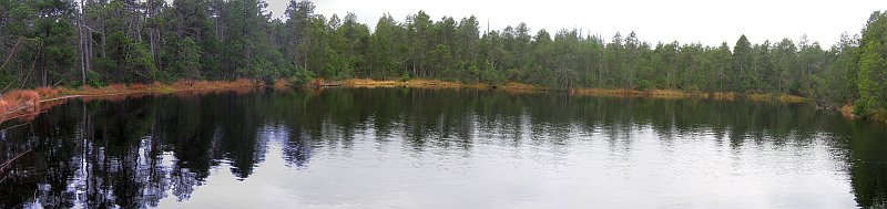 Rejvíz - Velké mechové jezírko