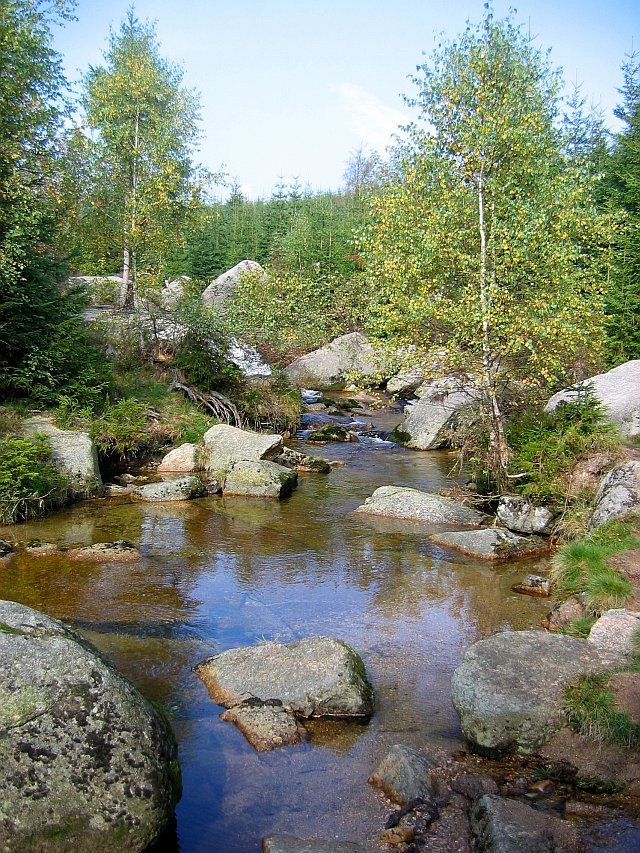 Horní část údolí