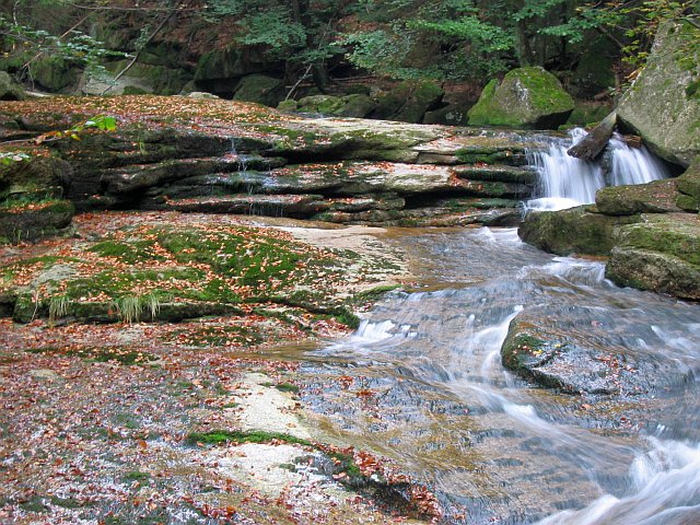 Dolní část údolí