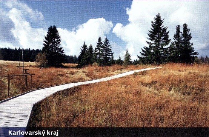 božídarská rašeliniště