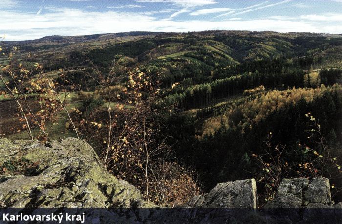 přírodní rezervace Olšová Vrata