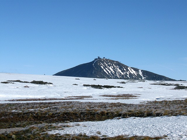 Sněžka od Luční Boudy