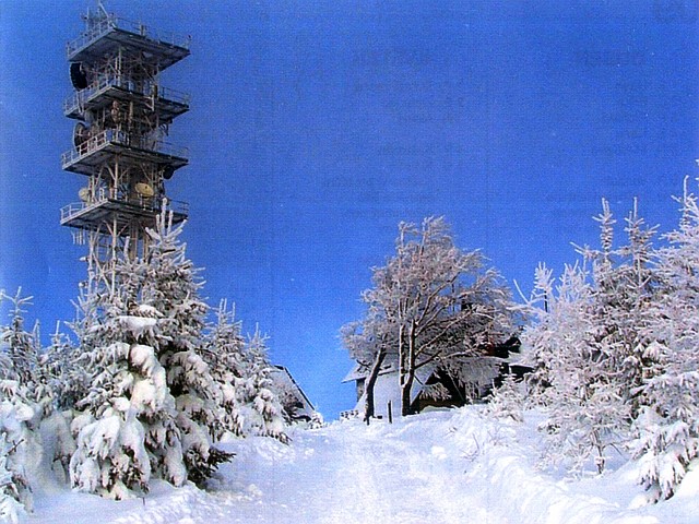 Javorový vrch - Těšínské Beskydy