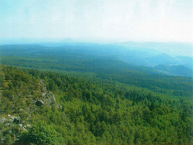 Rozhledna Děčínský Sněžník