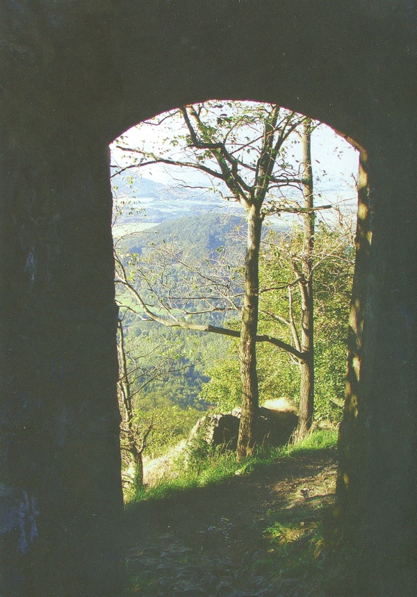 Zřícenina hradu Ralsko