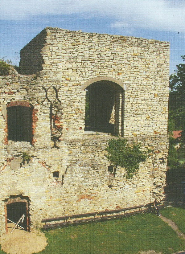 Zřícenina hradu Košumberk