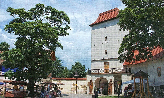 Slezskoostravský hrad