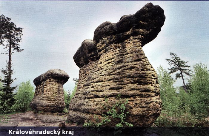 skalní hřiby - Broumovské stěny