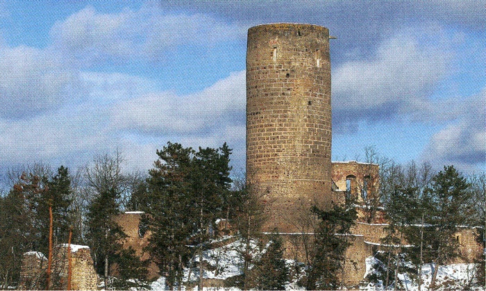 Zřícenina Žebrák