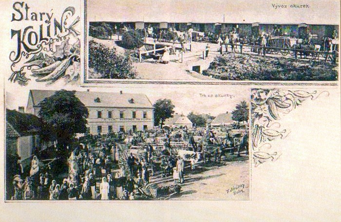 obec Starý Kolín - Kolínsko