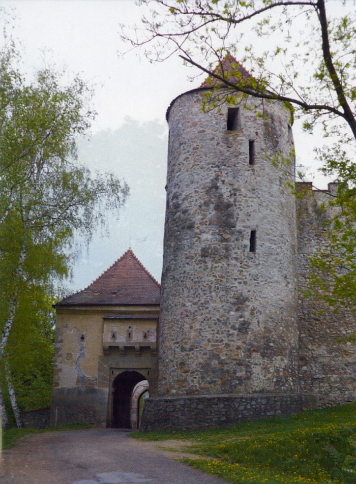 Hrad Veveří (Brno)