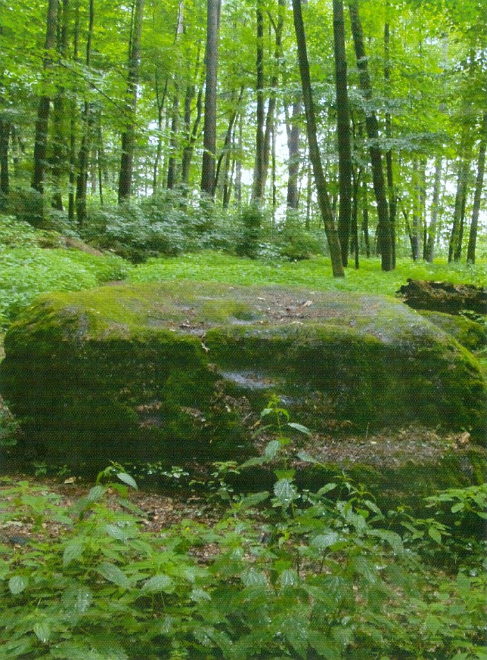 Loupežnický stůl - obětní kámen (okres Písek)