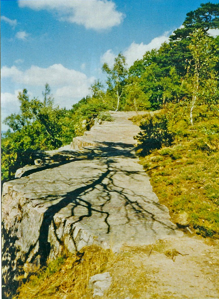 Velká skála na Plešivci (okres Příbram)