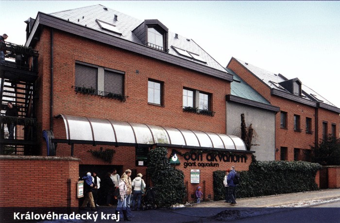 Obří akvárium HrKr