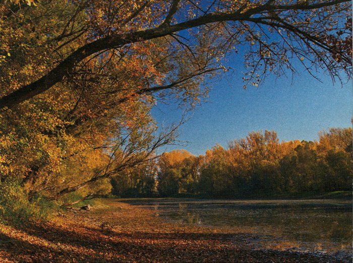 Národný žrebčín Topoľčianky