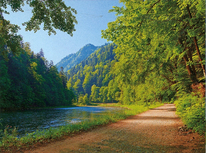 Pohľad na horskú rieku Dunajec