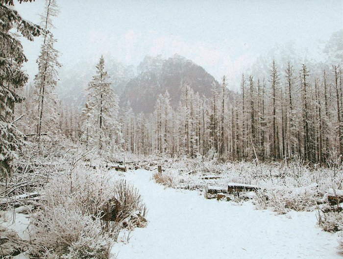Zimní Vysoké Tatry
