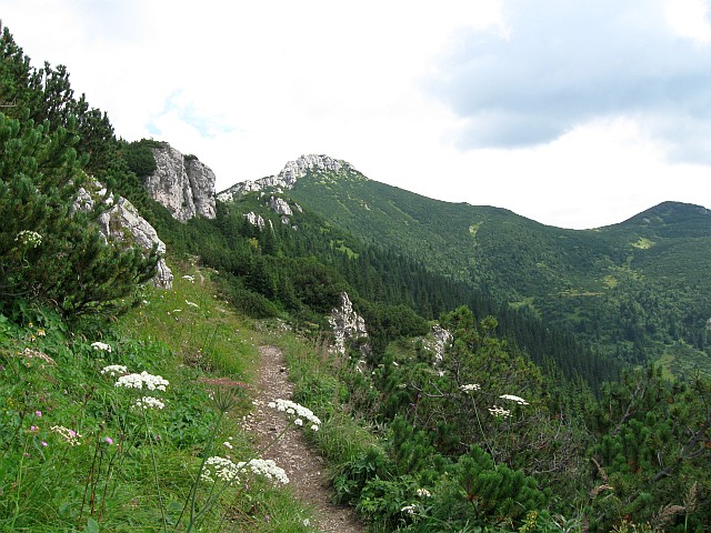 Sivý Vrch - po hřebenu Roháčů